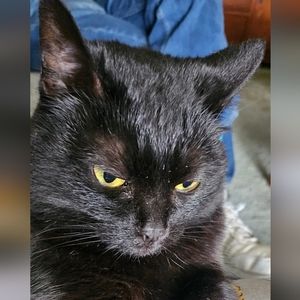 Meet your Posher, Cecy